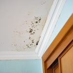 Mold Infested Ceiling In A Bedroom Dangerous And Health Damaging
