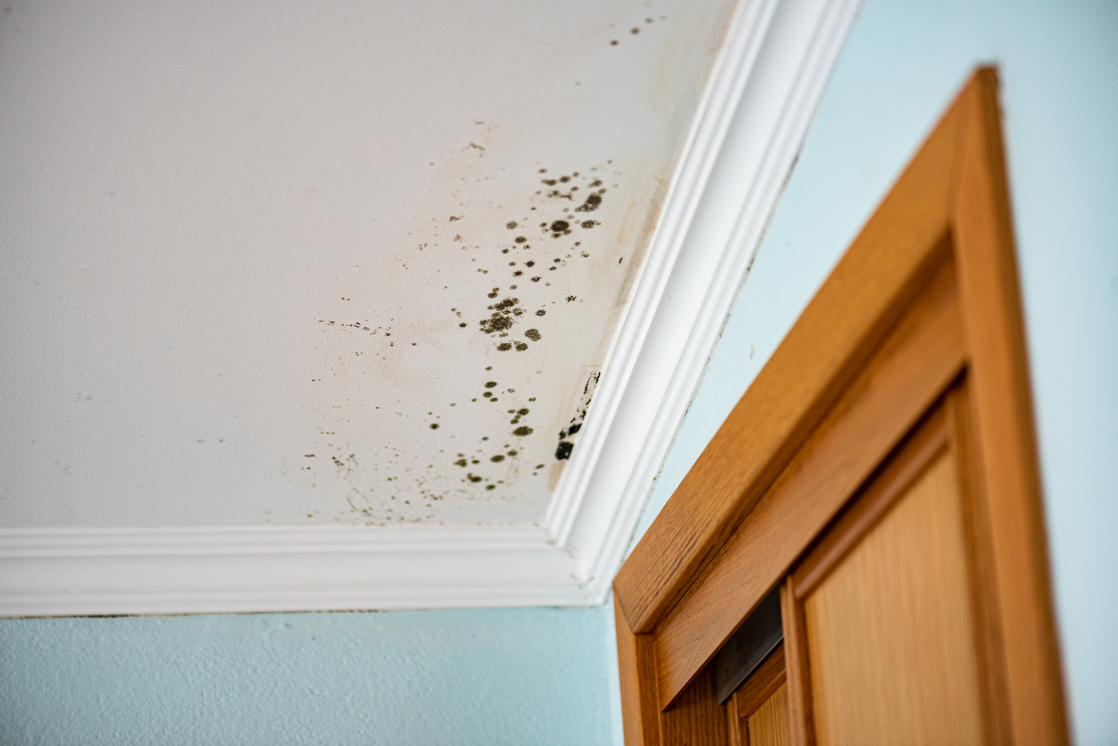 Mold Infested Ceiling In A Bedroom Dangerous And Health Damaging
